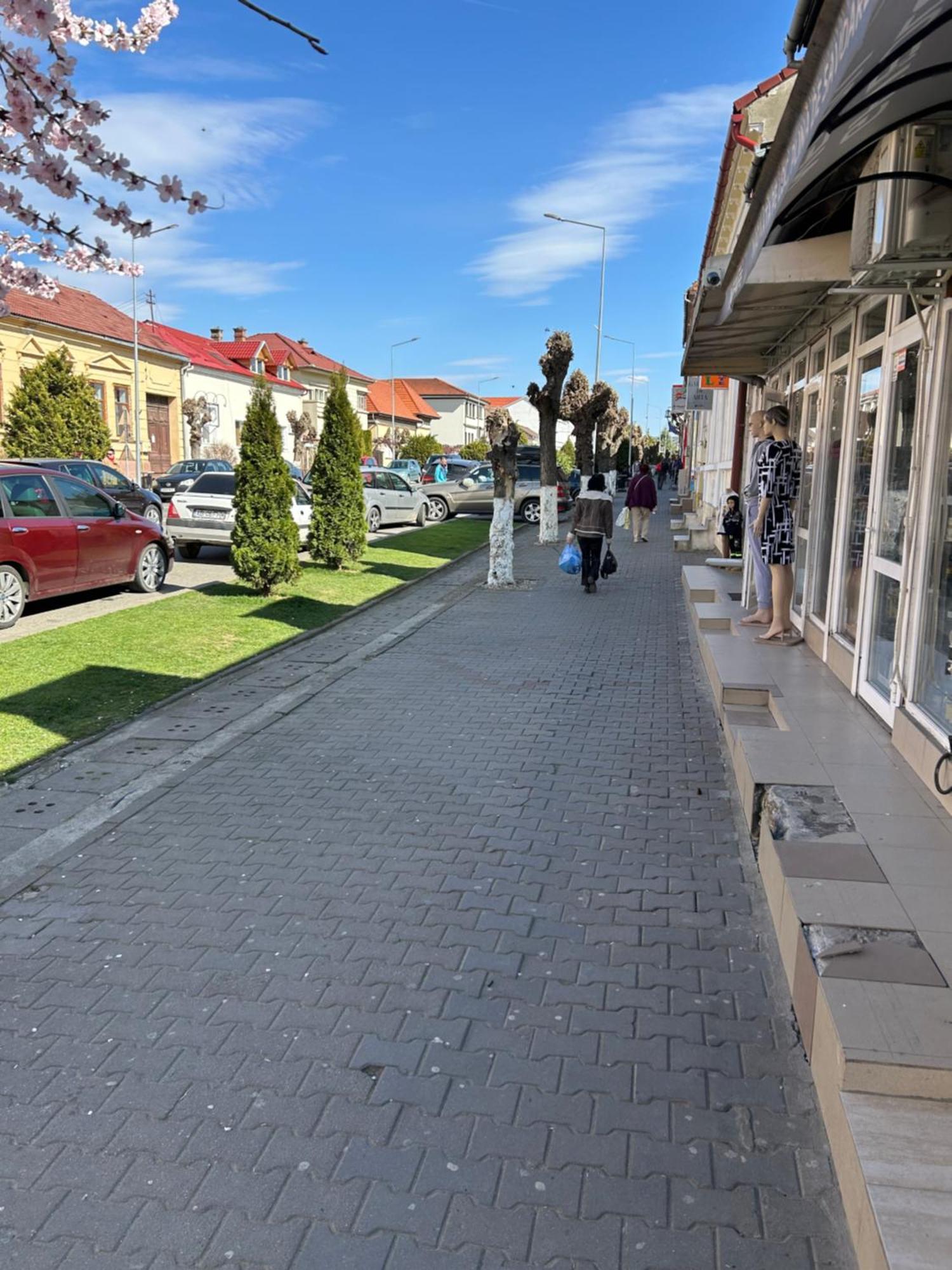 Bivolul Negru Διαμέρισμα Blaj Εξωτερικό φωτογραφία
